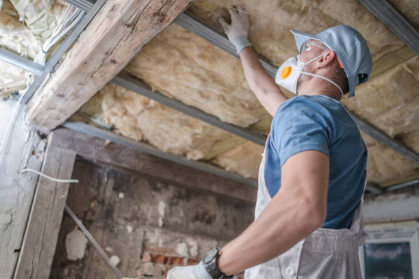 Best Specialized Insulation Services in Quartz Hill, CA