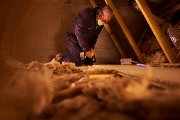 Best Insulation Maintenance and Repair in Quartz Hill, CA