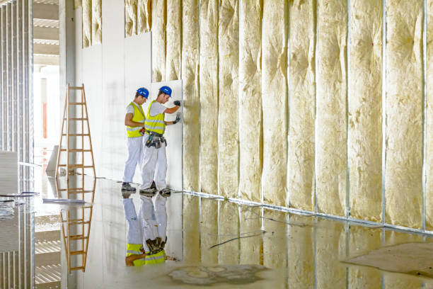 Best Commercial Insulation in Quartz Hill, CA